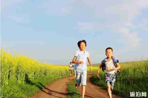 2019伊犁天马国际旅游节活动攻略 2019伊犁天马国际旅游节活动攻略