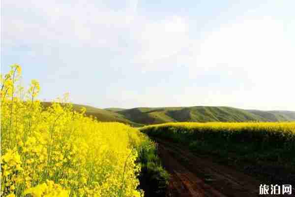 2019伊犁天马国际旅游节活动攻略