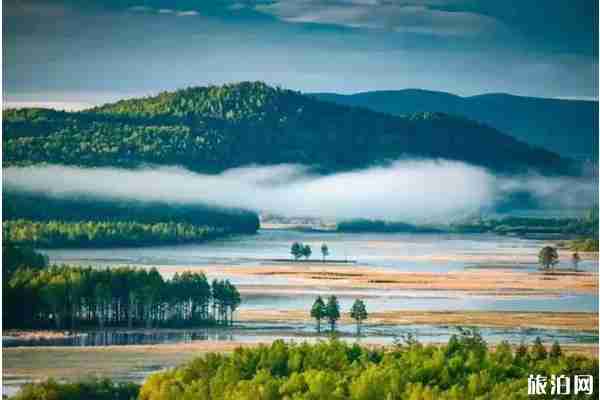 2019年六月去哪观鸟合适 2019年六月去哪观鸟合适