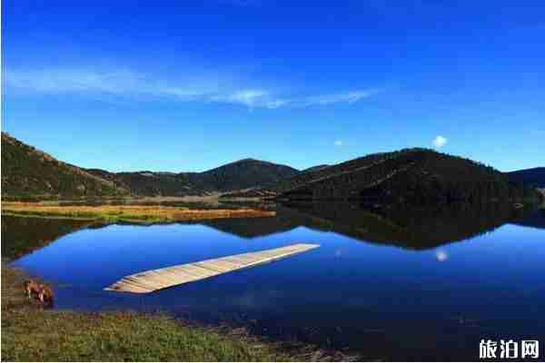 2019年六月去哪观鸟合适 2019年六月去哪观鸟合适