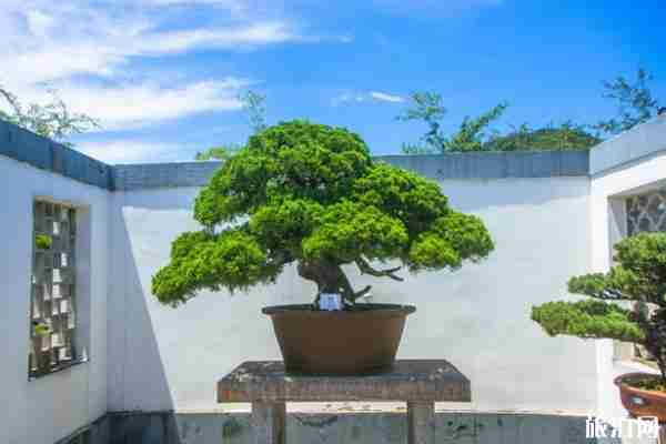 2019常州茅山宝盛园游玩攻略(景点+交通) 2019常州茅山宝盛园游玩攻略(景点+交通)