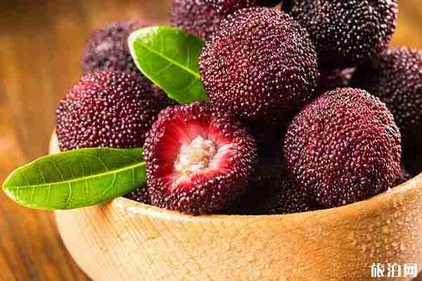 2019南昌附近杨梅采摘基地采摘参考价格+地址+交通 2019南昌附近杨梅采摘基地采摘参考价格+地址+交通