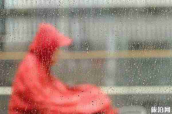 2019年6月26日陕西暴雨最新消息+未来三天天气情况 2019年6月26日陕西暴雨最新消息+未来三天天气情况