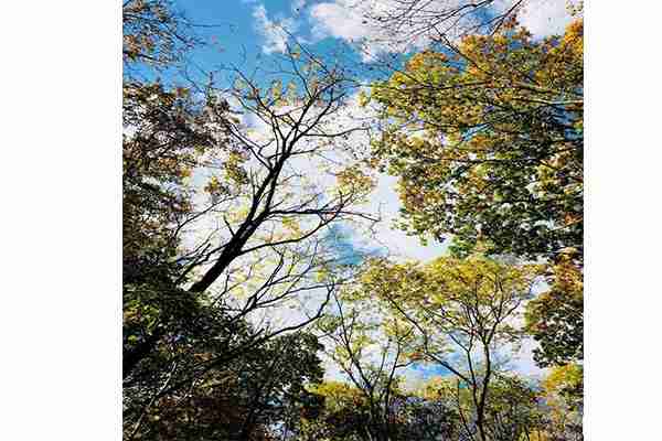 三块石国家森林公园门票多少钱 三块石国家森林公园门票多少钱