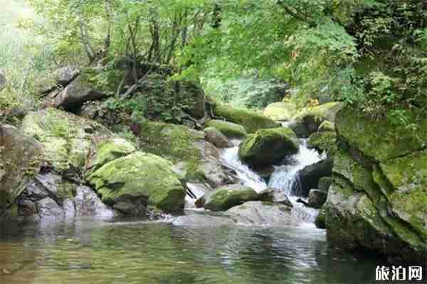 三块石国家森林公园门票多少钱