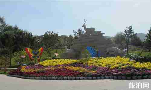 大学生暑假旅游推荐