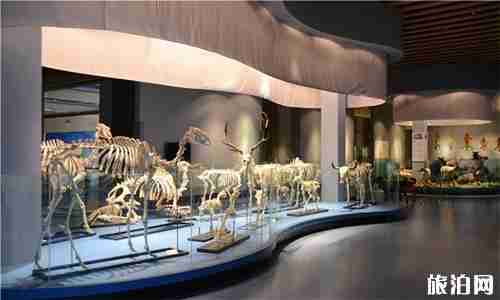 青海博物馆旅游攻略 青海博物馆旅游攻略