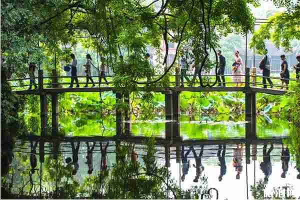 浙江哪里有荷花看+门票+地址+介绍 浙江哪里有荷花看+门票+地址+介绍