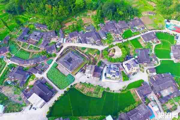 浙江哪里有荷花看+门票+地址+介绍 浙江哪里有荷花看+门票+地址+介绍