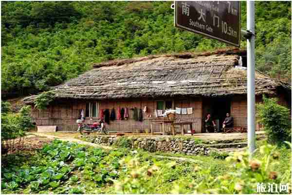重庆金佛山夏季游玩攻略 户外运动季+采笋 重庆金佛山夏季游玩攻略 户外运动季+采笋