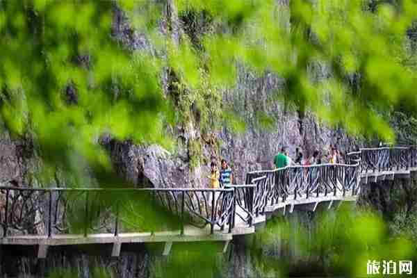 重庆金佛山夏季游玩攻略 户外运动季+采笋 重庆金佛山夏季游玩攻略 户外运动季+采笋