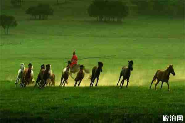 2019内蒙古马赛暨第六届内蒙古国际马术节6月29日开启