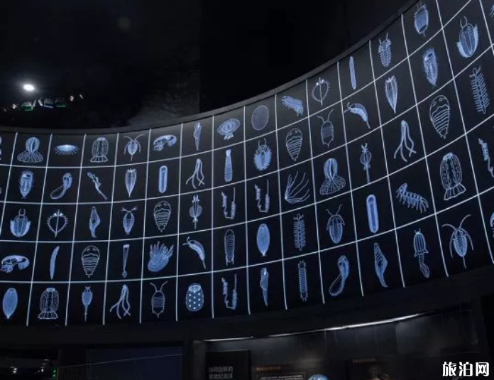 2019国家海洋博物馆预约人数增加+开馆时间延长 2019国家海洋博物馆预约人数增加+开馆时间延长