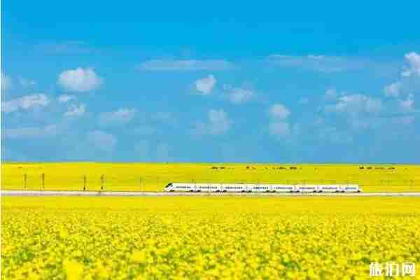 七月亲子游最佳去处盘点