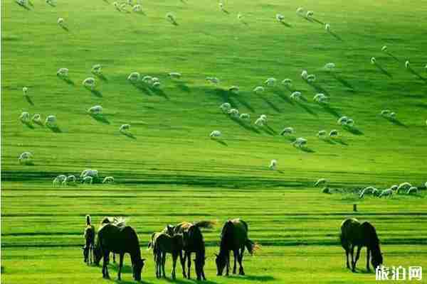 七月亲子游最佳去处盘点