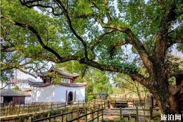 七月亲子游最佳去处盘点