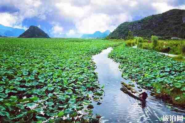 七月亲子游最佳去处盘点