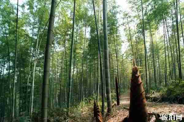 七月亲子游最佳去处盘点