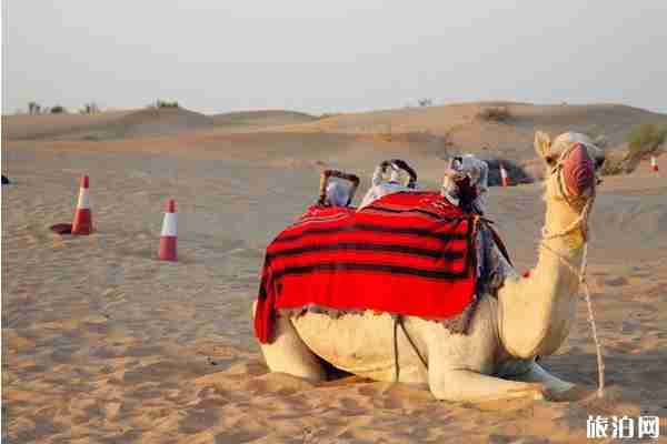 七月亲子游最佳去处盘点