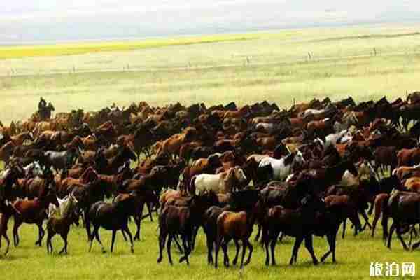 2019新疆特種旅游節7月12日開啟