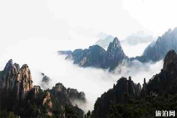 2019黄山市暑假优惠政策 中高考准考证+教师资格证+亲子游 2019黄山市暑假优惠政策 中高考准考证+教师资格证+亲子游