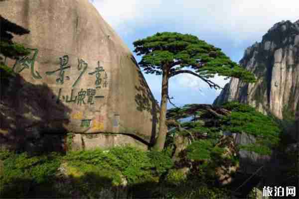 2019黄山市暑假优惠政策 中高考准考证+教师资格证+亲子游 2019黄山市暑假优惠政策 中高考准考证+教师资格证+亲子游