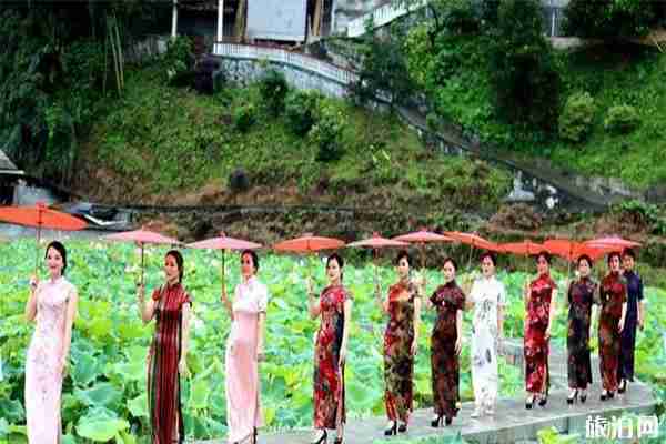 2019湖南长坡团寨荷花节赏荷花指南