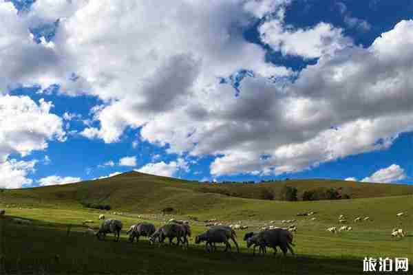 乌兰布统景区介绍 乌兰布统景区介绍