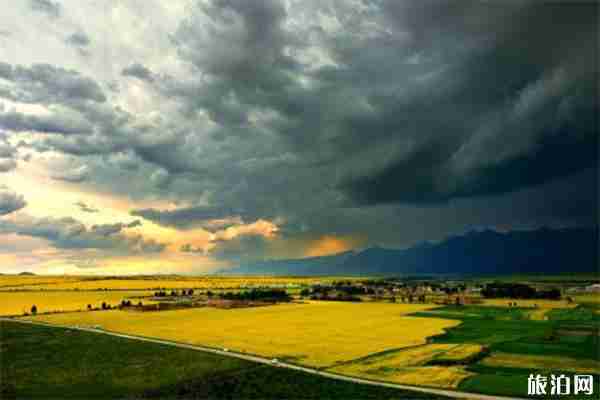 2019門源油菜花文化旅游節(jié)7月9日開啟 附活動時間安排