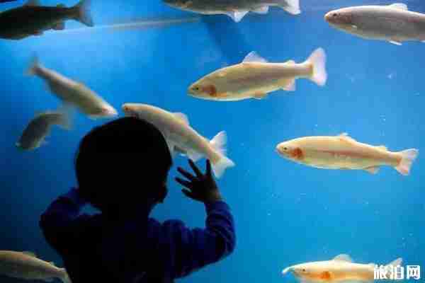 威海周边的海洋世界 威海周边的海洋馆有哪些