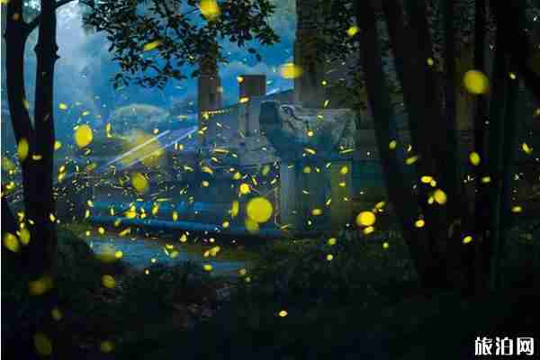 南京哪里可以看萤火虫 南京哪里可以看萤火虫
