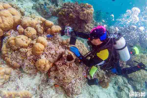 水下拍摄哪个相机好 水下拍摄设备的选择 水下拍摄哪个相机好 水下拍摄设备的选择