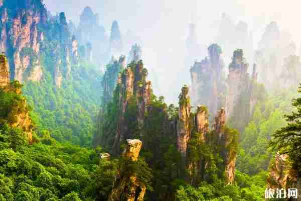 张家界旅游停车位攻略+费用 张家界停车位大全