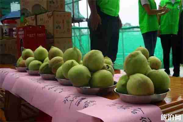 2019广东韶关翁源九仙桃节7月6日开启 附路线 2019广东韶关翁源九仙桃节7月6日开启 附路线