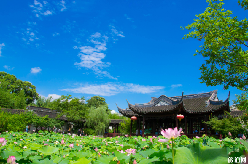 2019上海古漪园荷花花期+门票+最佳赏荷地点+景点介绍 2019上海古漪园荷花花期+门票+最佳赏荷地点+景点介绍