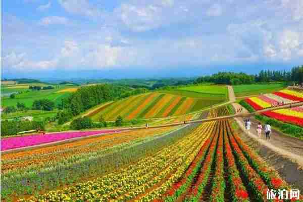 夏季去日本哪最好玩+有什么好玩的