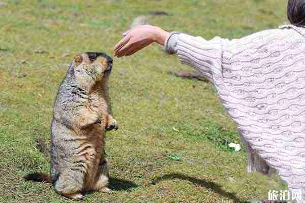 四川冷门旅游景点推荐 四川有哪些冷门但好玩的景区