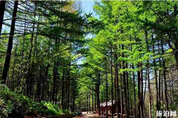 7月洛阳景区活动信息汇总 7月洛阳景区活动信息汇总