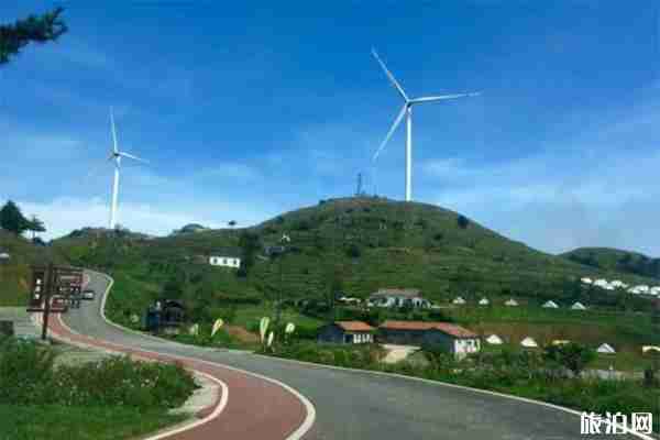 宜昌百里荒避暑露营节游玩指南 宜昌百里荒避暑露营节游玩指南