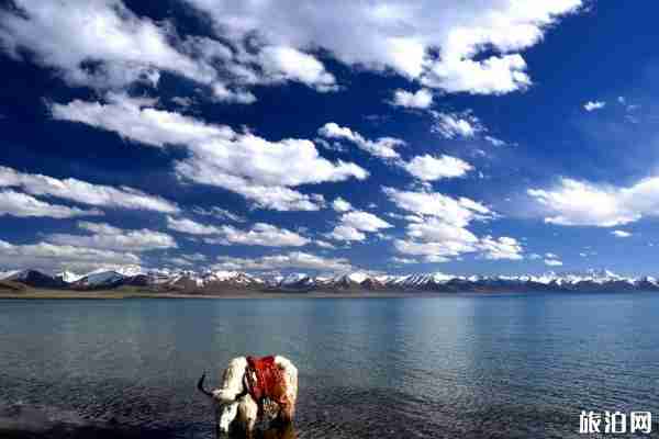 2019西藏传统节日时间 2019西藏传统节日时间