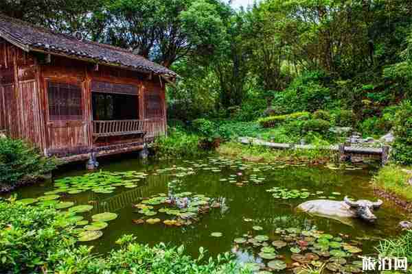 深圳冷门又好玩的地方推荐 深圳免费值得去的景点 深圳冷门又好玩的地方推荐 深圳免费值得去的景点