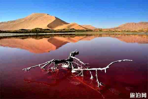 阿拉善右旗旅游线路