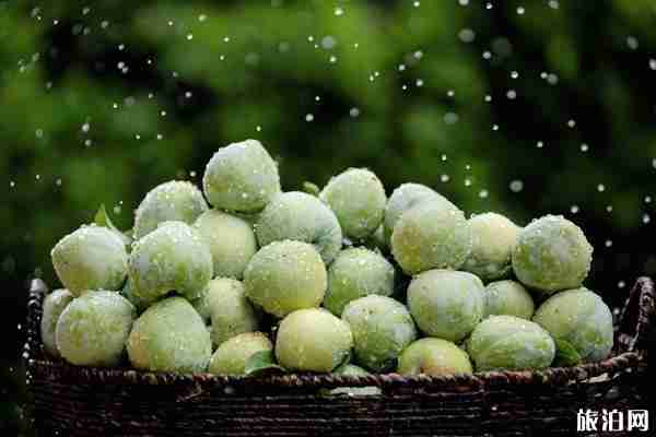 2019元謀新華鄉(xiāng)村文化旅游節(jié) 活動(dòng)內(nèi)容+時(shí)間+自駕線路