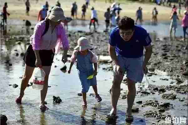 2019泽库潮汐公社赶海节7月19日开启 附门票 2019泽库潮汐公社赶海节7月19日开启 附门票