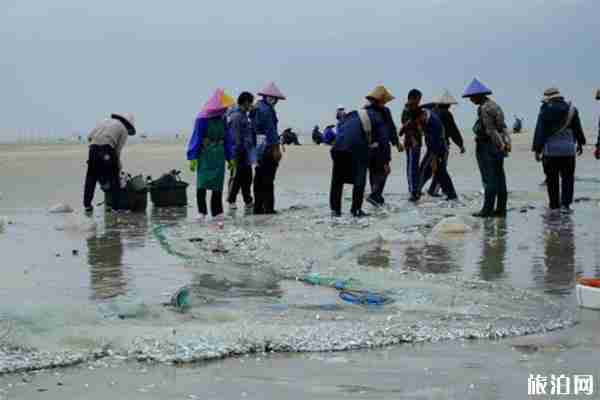 福建平潭赶海攻略