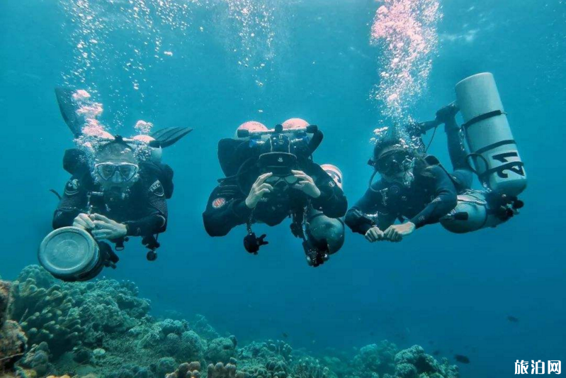 玉溪抚仙湖怎么玩 到达抚仙湖交通指南 玉溪抚仙湖怎么玩 到达抚仙湖交通指南