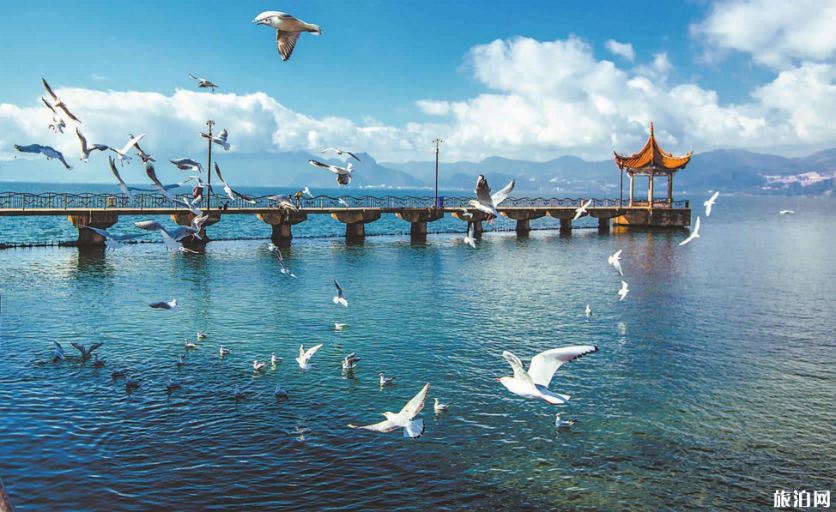 玉溪抚仙湖怎么玩 到达抚仙湖交通指南 玉溪抚仙湖怎么玩 到达抚仙湖交通指南