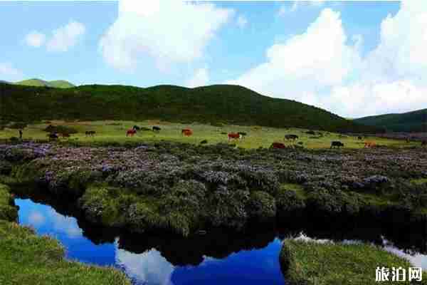 2019昭覺火把節 活動+時間 2019昭覺火把節 活動+時間