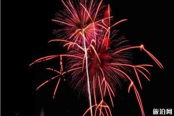 2019日本夏季有什么活動