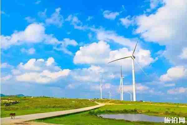 2019三伏天日期 2019三伏天去哪里旅游好 2019三伏天日期 2019三伏天去哪里旅游好